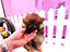 Immagine 27