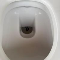 wc sospeso duravit con sedile