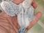 Immagine 3