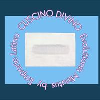 Cuscino Divino Minutus EVOLUTIONIS lesioni/piaghe