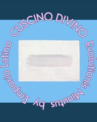 Cuscino Divino Minutus EVOLUTIONIS lesioni/piaghe