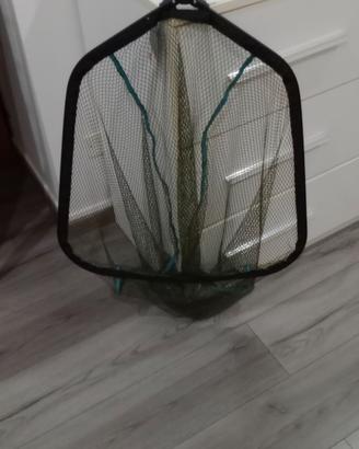 Testa guadino