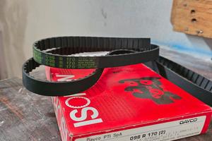 cinghia comando distribuzione pirelli