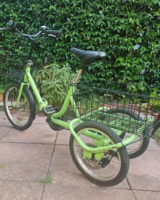 Bicicletta a tre ruote/triciclo per adulti