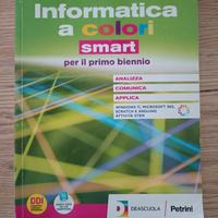 libro superiori  informatica