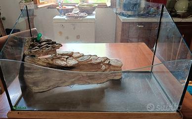 acquario per tartarughe