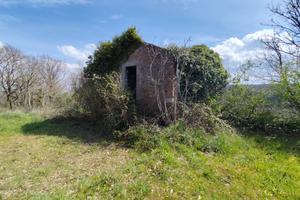 Vitorchiano Terreno di 2 ha con casale