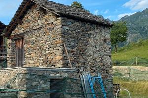 Baita semi-ristrutturata alpe argnaccia campertogn