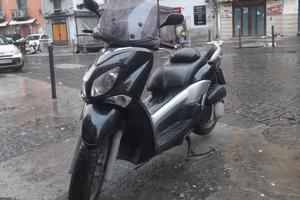  x city 250
