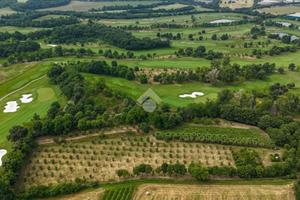 TER. AGRICOLO A CALVAGESE DELLA RIVIERA