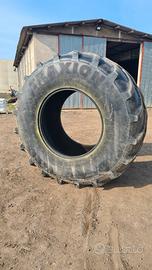 Vredestein Traxion XXL 800/70 R38