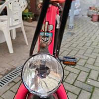 Mountain bike Bottecchia