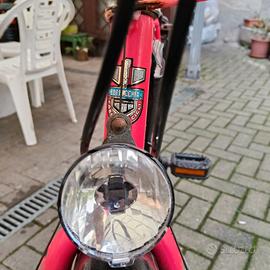 Mountain bike Bottecchia