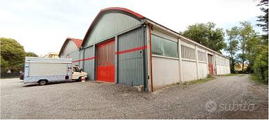 RGE 52/2023 Trib Pesaro - LOTTO 2