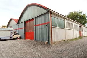 RGE 52/2023 Trib Pesaro - LOTTO 2