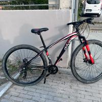 Bici Austria 29’’ da sistemare