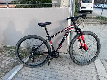 Bici Austria 29’’ da sistemare