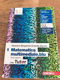 Matematica multimediale.blu  1 Zanichelli