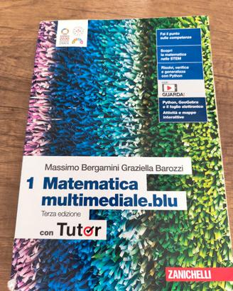 Matematica multimediale.blu  1 Zanichelli