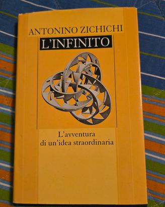 L'infinito - Antonino Zicchicchi