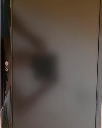 Televisore LG FLATRON M2280D