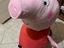 Immagine 1