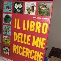 IL LIBRO DELLE MIE RICERCHE 