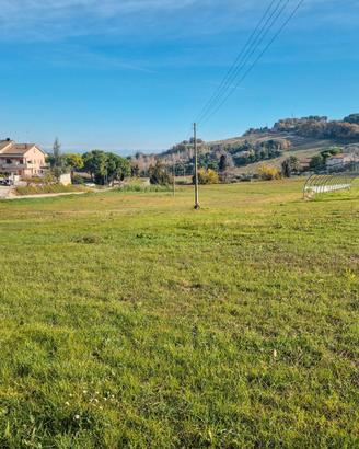 Terreno agricolo con pozzo