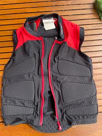 Paraschiena sci  junior