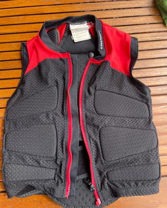 Paraschiena sci  junior