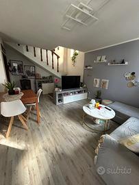 Visnadello abbinatina 2camere 2servizi e giardino