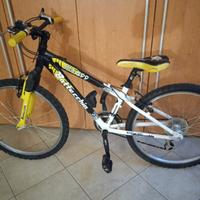 bicicletta da ragazzo