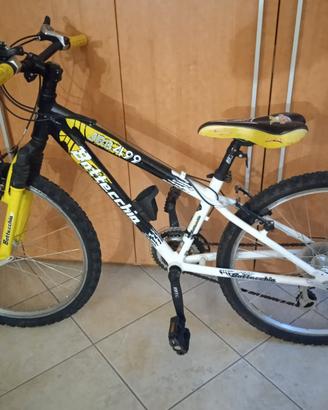 bicicletta da ragazzo