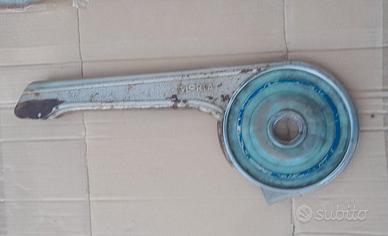 Carter Gloria garibaldina