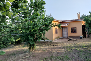 Terreno agricolo con casale