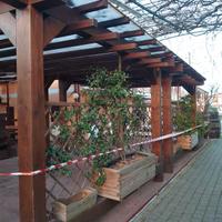 PERGOLA IN LEGNO