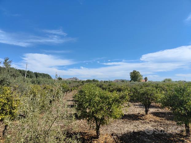 Terreno agricolo Motta Sant'Anastasia - Rif. 09M