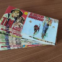 Tim il piccolo vagabondo 1/19