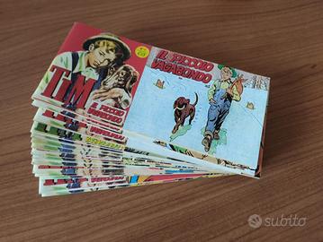 Tim il piccolo vagabondo 1/19