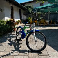 Bicicletta in alluminio