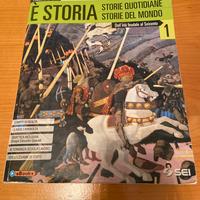 Libro di storia