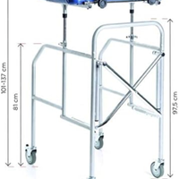 Deambulatore antibrachiale