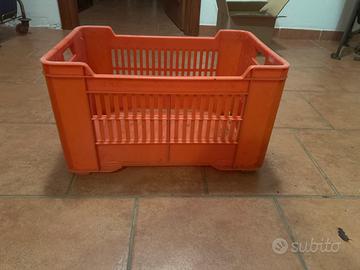 Cassetta per raccolta uva