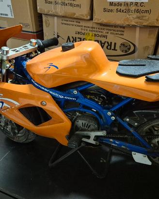 minimoto stamas racing 