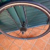  ruota post. bianchi xl levitation