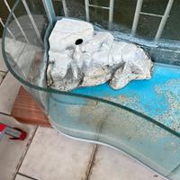 Tartarughiera per tartarughe d’acqua