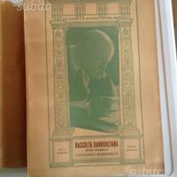 Raccolta dannunziana