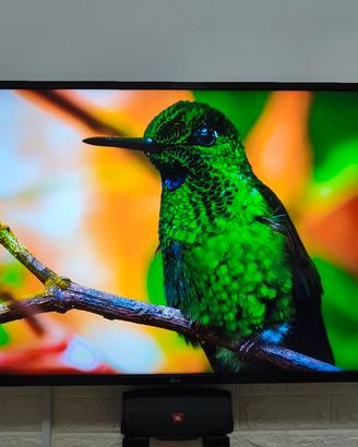 smart tv LG 45 polici 