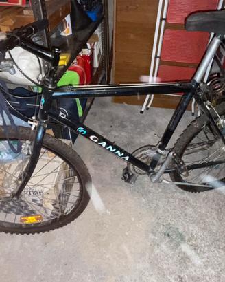 Bicicletta città