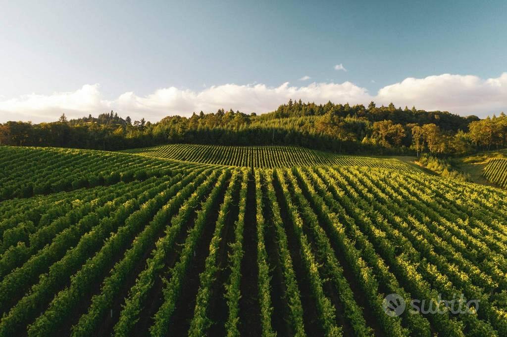 Terreno di 1090 m² a Lonato del Garda - Altro
